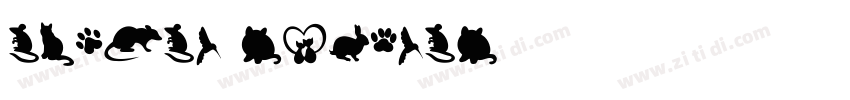 Animal Regular字体转换